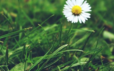 L’équipe SU-UNSA à la Garden party de la CEHDF à Liévin