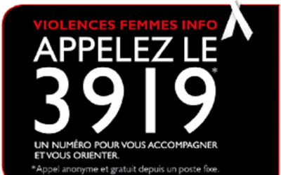 25 novembre : Journée internationale de lutte contre les violences faites aux femmes