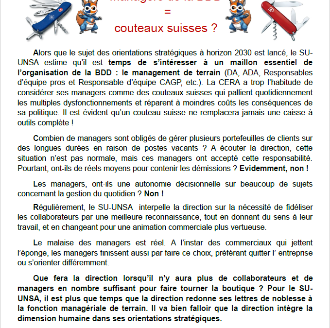 Managers de la BDD = couteaux suisses?