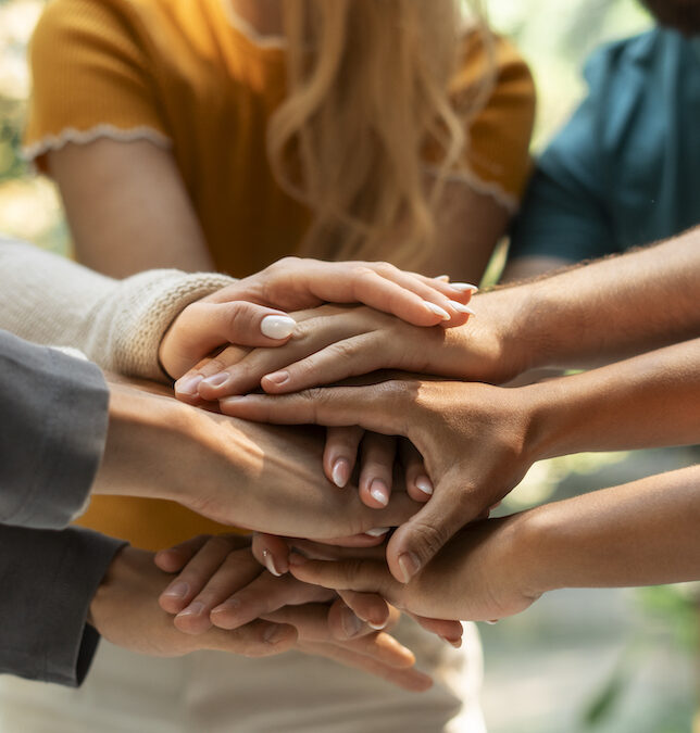 Nouvel espace en ligne, nouvelle Application      SU-UNSA CELDA