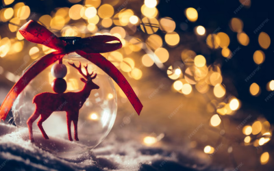 CHRONIQUES DU CSE Mercredi 19 NOVEMBRE 2025 ARTICLE 1