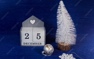 CHRONIQUES DU CSE 19 NOVEMBRE 2025 ARTICLE 1