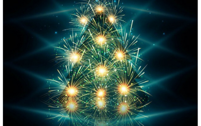 CHRONIQUES DU CSE 11 DECEMBRE 2025