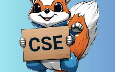 CSE DU 25/11/25 : OGF