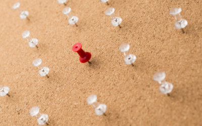 Point d’étape BDD réseau 360 et Avancement du projet AGORA