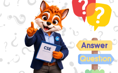 LE CSE : C’est quoi ?